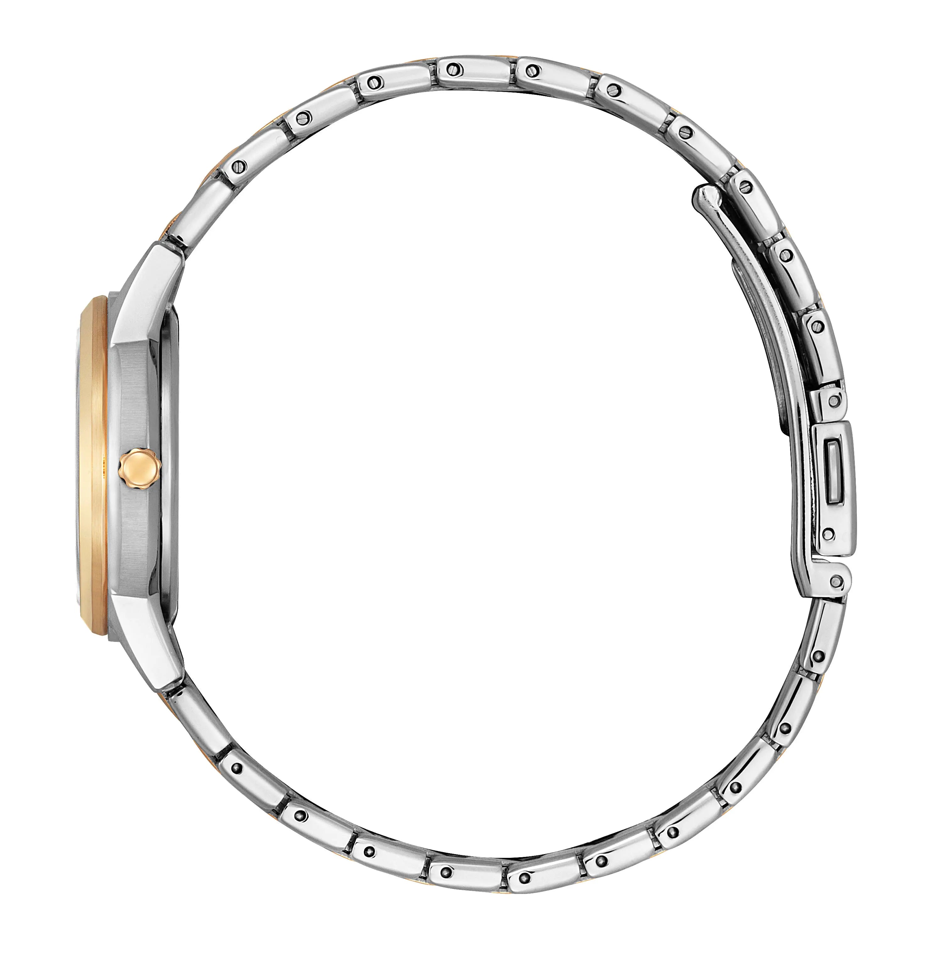 Montre Citizen Ladies Elegance Eco-drive Instant-Montre