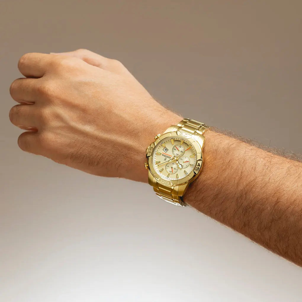 Montre Festina Timeless Festina