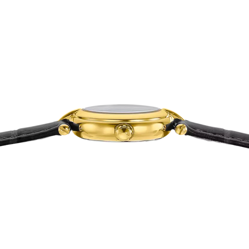 Montre Festina Mademoiselle F20788_1 Festina